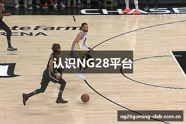 认识NG28平台